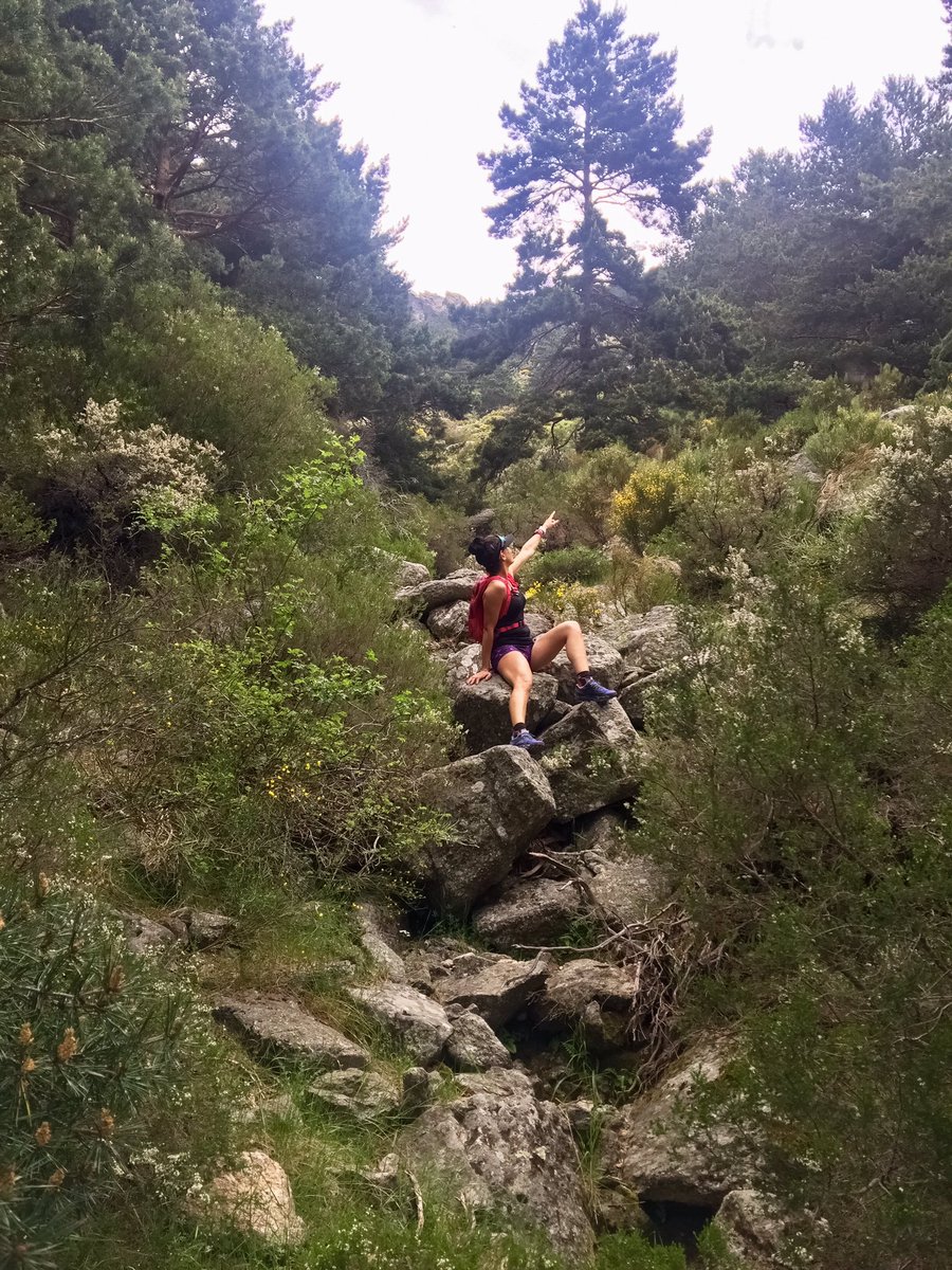 MiDiarioRunner's tweet photo. "Apunta a la luna,si fallas al menos estarás entre las estrellas"💫

#YoElegiCorrer #SoñandoALoGRANDE #naturalconnect https://t.co/MROWCJwniz https://t.co/eH74VRD1yq