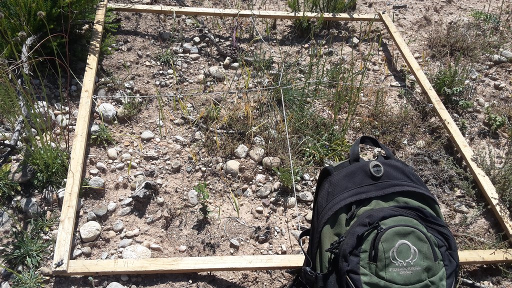 GrupoSylvestris's tweet photo. La misma mochila @congresoforesta este finde muestreando una siembra de carrasca y pi blanc en #Montserrat. #compensandoCO2 #SembramosO2 https://t.co/7LCwsRYO4Y