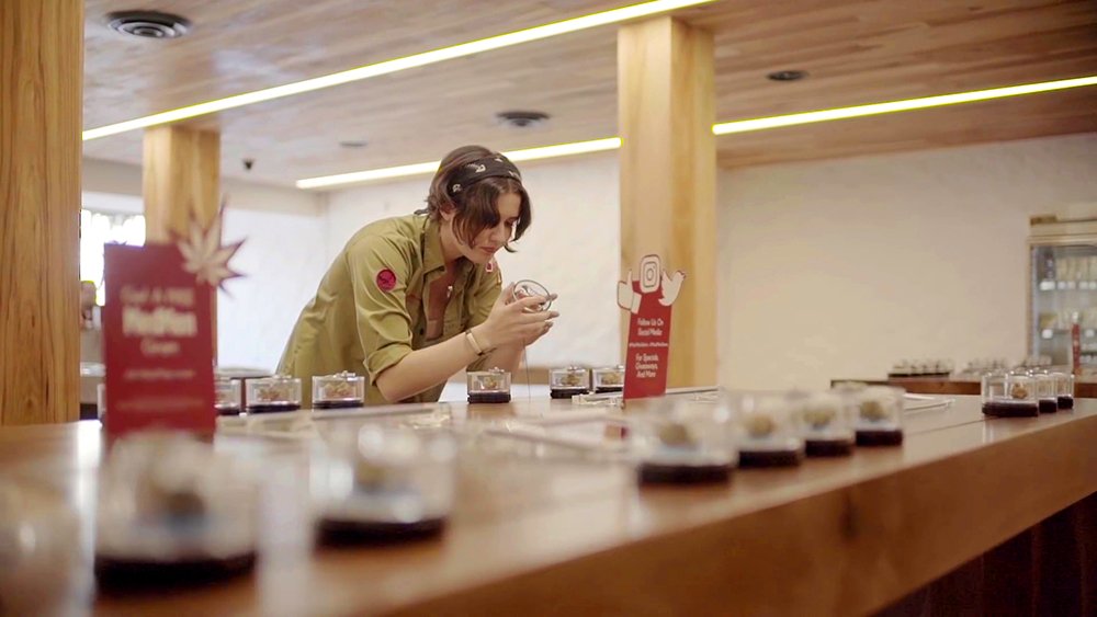 IS YOUR DISPENSARY CURING ON THE SHELF?

bovedainc.com/dispensary-cur…

#Curing #mmj #dispensary