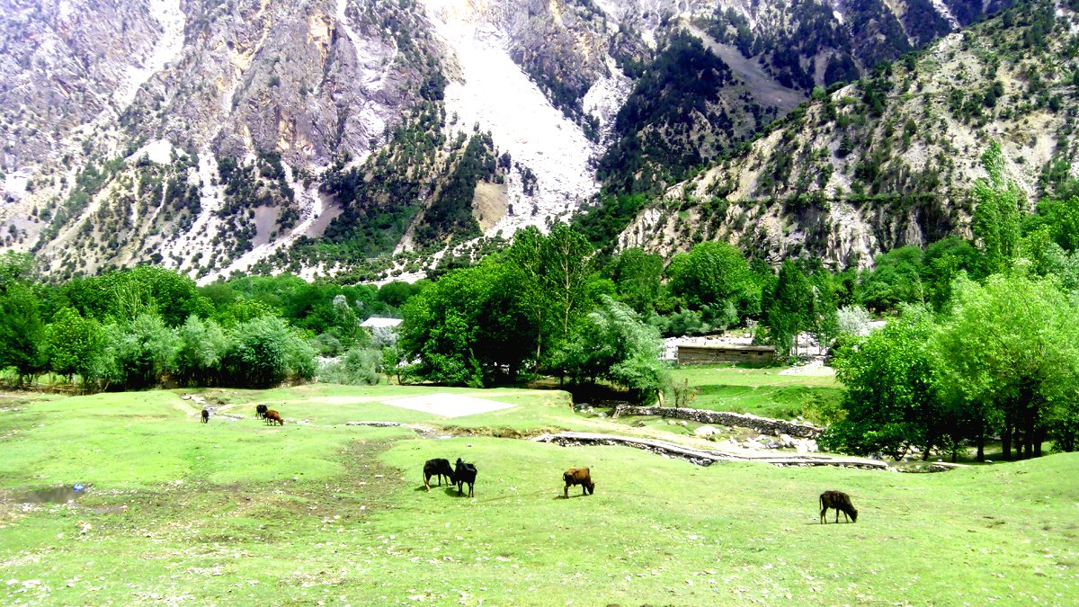 MakeatourPk's tweet photo. #beautyofPakistan is graceful, come witness with #MakeATour #theway to #Citral #kailash #chilamJoshi #festival https://t.co/L7UZhuSsJI