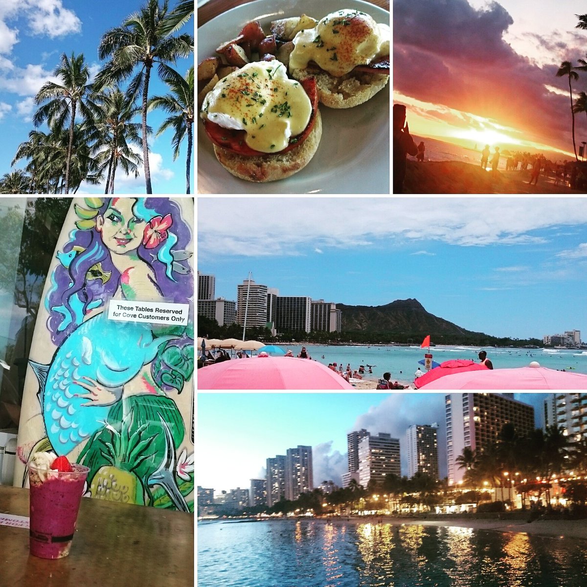 arichan_smile's tweet photo. 昨日の夕方帰国しました…
何度行っても楽しい
What a wonderful place...!!
I wanna live in Hawaii someday...♡
#Hawaii
#5th_time
#Paradise https://t.co/sURfhSZ4hn
