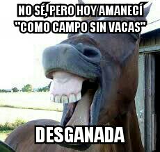 uatdaflan's tweet photo. Día 116:
Cuando quedamos para estudiar y al final cancelamos el plan
#comocamposinvacas #pakiypuki #jamasestudiaremos #laexcusaperfecta https://t.co/fqveXaoyEx