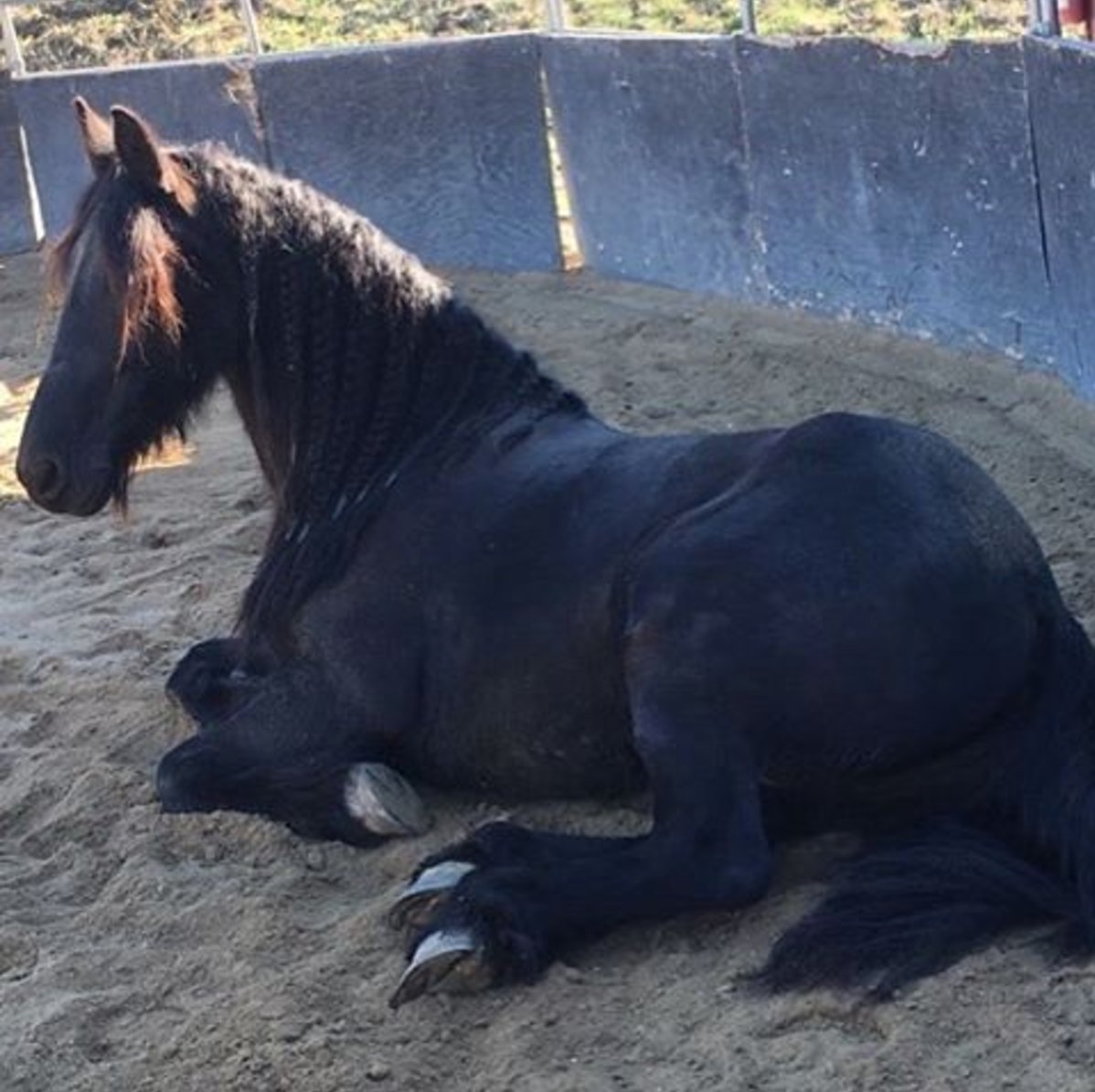 Happy Belated Birthday my little princess! 17 years old last Wednesday.