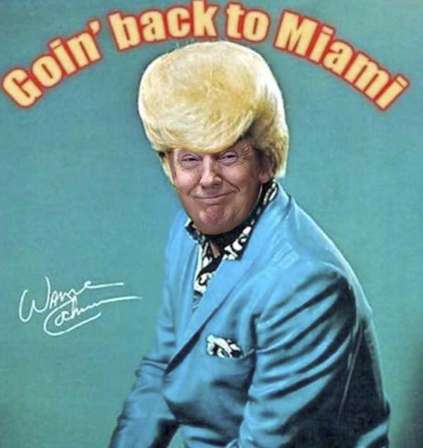TRISHALURIE's tweet photo. We can't ignore the truth, we must stand up against this shameful liar of a president &amp; send this angry man-child back to Hmm, Miami? #Trump https://t.co/PLJpiGKdVX