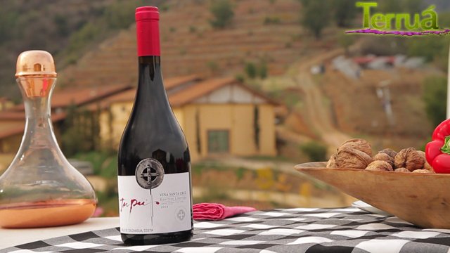 CANAL_13C's tweet photo. Descubre todas las experiencias y actividades que puedes realizar en @vinasantacruz junto a @danielgreve en @terruatv a las 22hrs https://t.co/KcMLmjLAk6