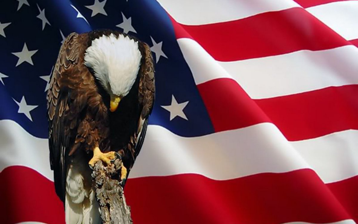 carolinah_prun's tweet photo. We thank you.
#MemorialDay https://t.co/1MnNlBAuUo