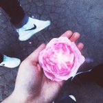 Photo by АНАСТЕЙША (@Unicorn151)