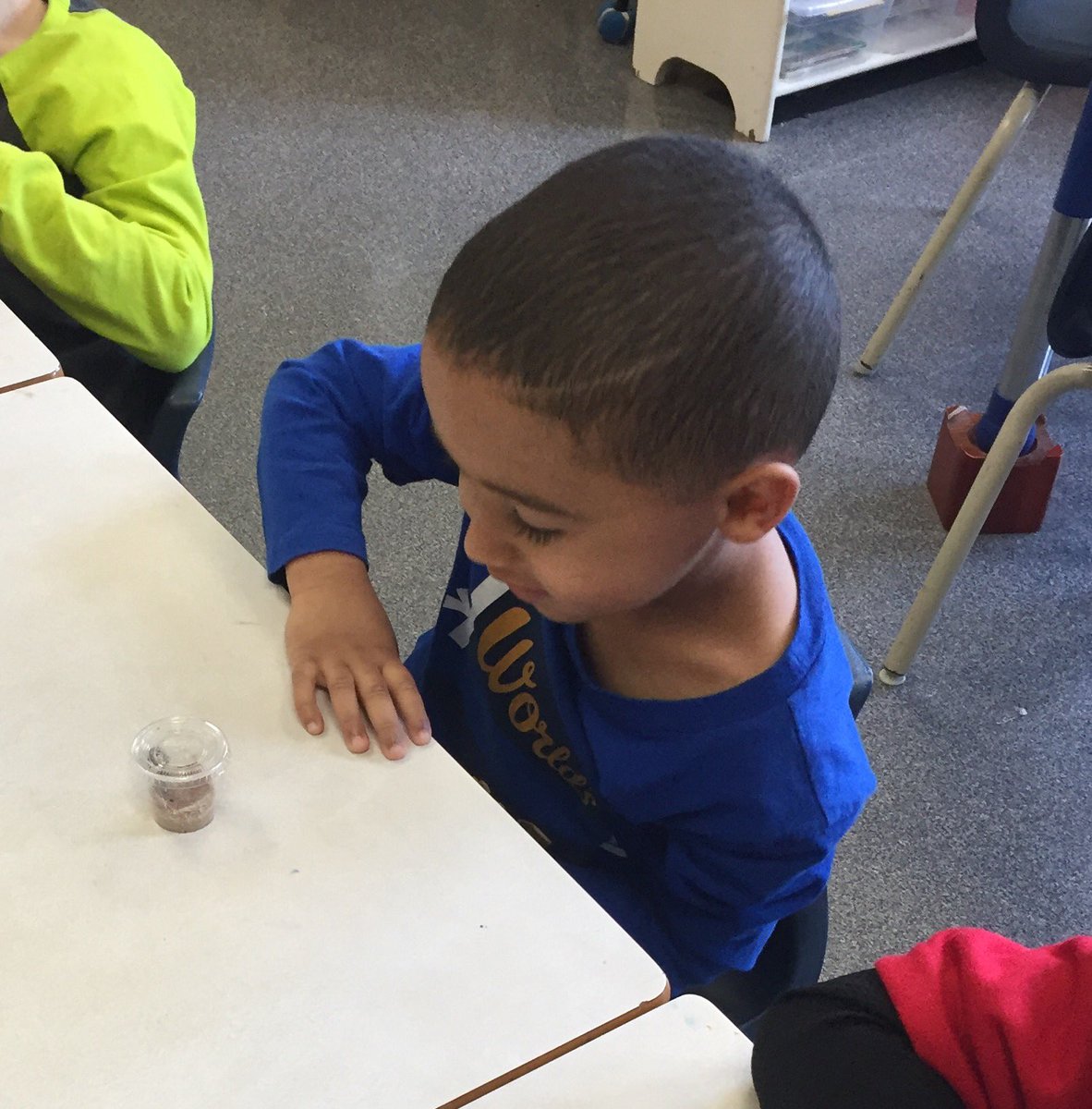 We have caterpillars spinning silk pads &amp; forming J's AND chrysalides <a href="/basinviewdrive/">Wokabri</a> !!!  Coming soon...Painted Lady Butterflies!!!