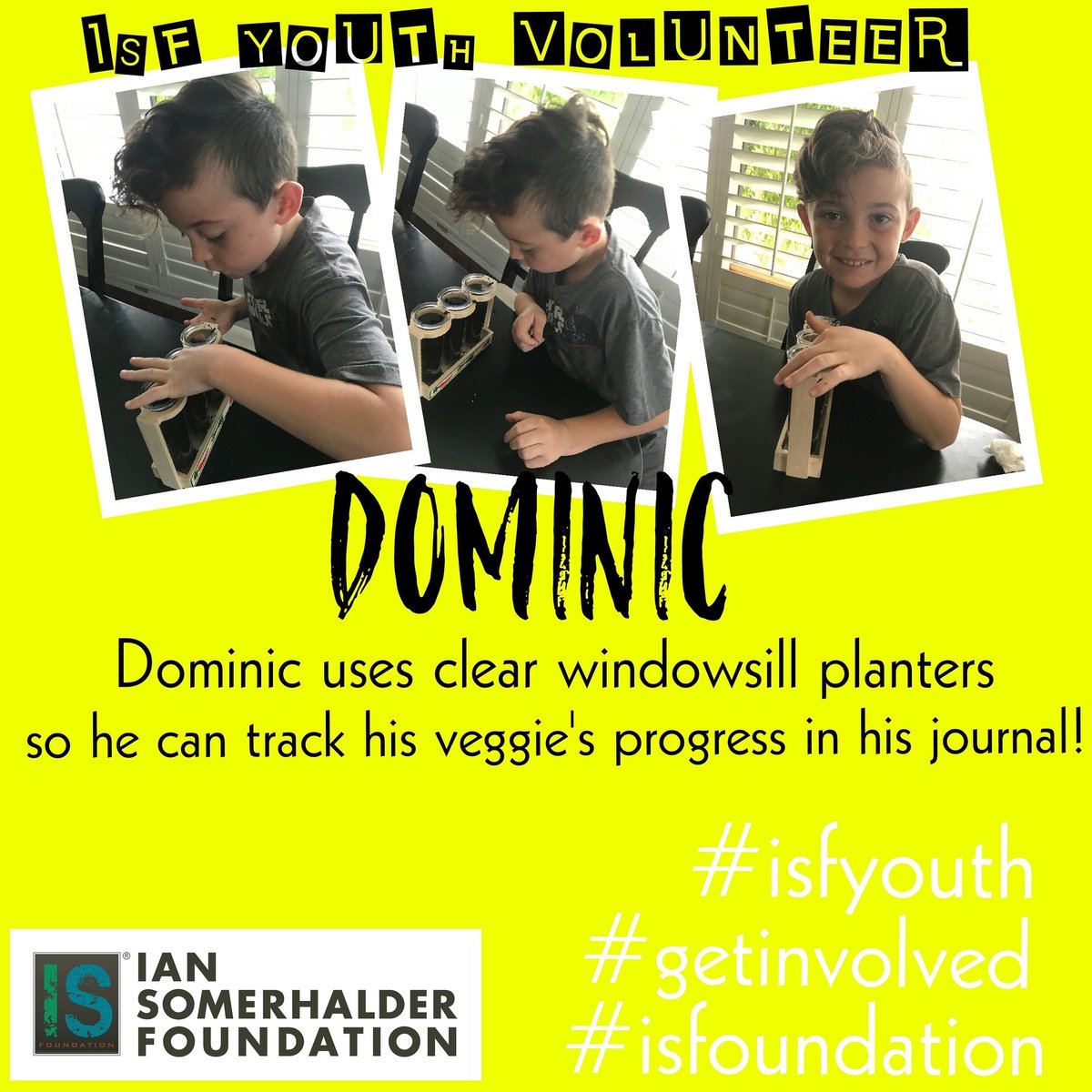 ISFYouth's tweet photo. ISF YOUTH VOLUNTEER DOMINIC uses clear windowsill planters! Garden Project! # #isfyouth #getinvolved #isfoundation #greenthumb https://t.co/RnGkU7Bjgq