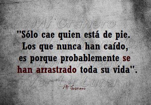 Pilar__HA's tweet photo. Sólo cae quien está de pie... https://t.co/T0qxFzkCNu