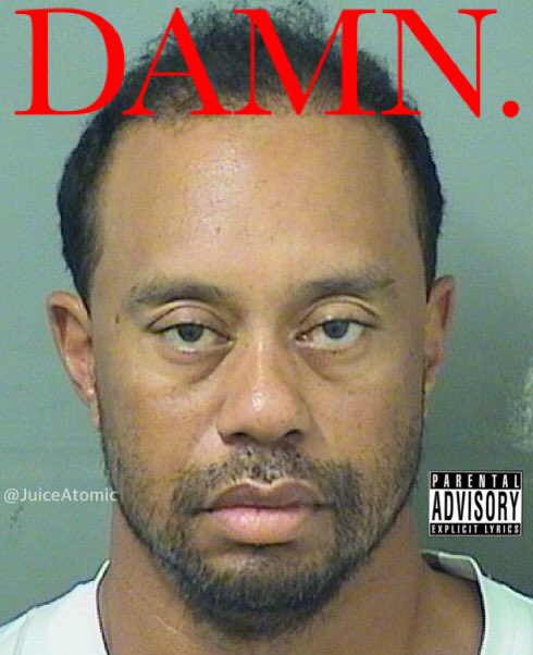 KingJosiah54's tweet photo. Tiger Woods be like https://t.co/rkbTgwRtLJ