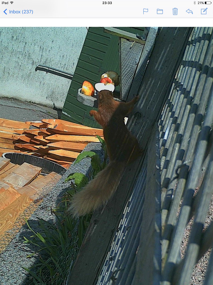 Inveravon Primary tweet media