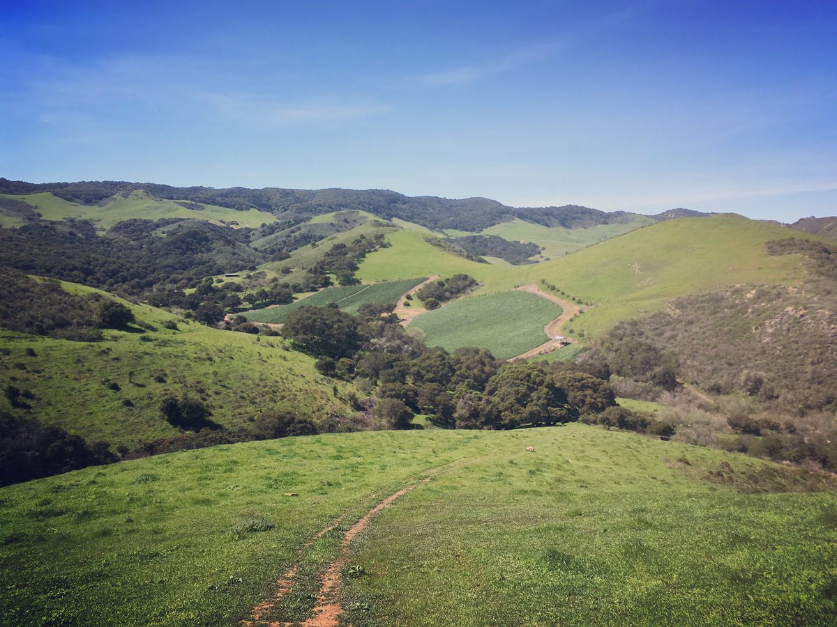 Incredible day for a vineyard tour at #JCRVineyard. The green is starting to fade on the hills. Summer is coming...
