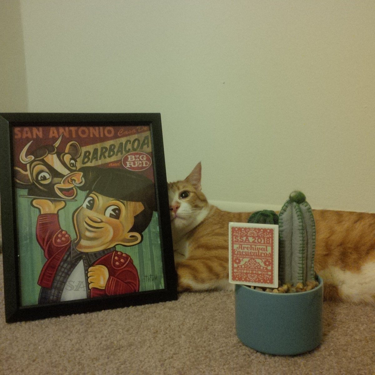 lillycarrel's tweet photo. Antonio, the cat, may or may not be named after (San)Antonio, the city, & why I had to bid @ssaFay2017 #slotto https://t.co/nocMzFw9oi