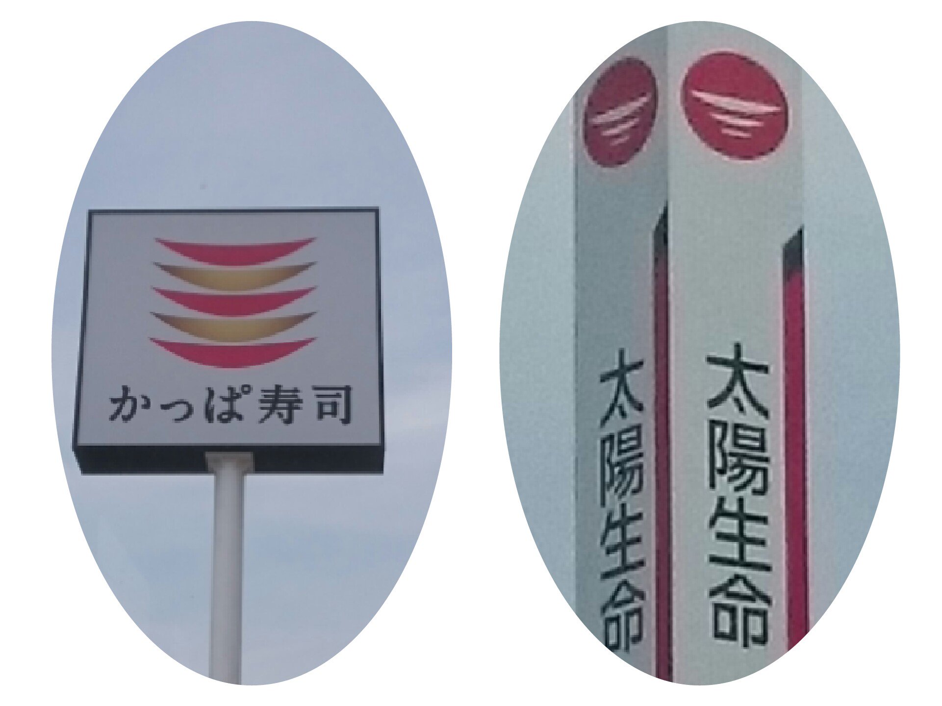 めんまb作 Twitterren よく似てる 話題にはなってないけど カッパ寿司 太陽生命 シンボルマーク めんまb作 Twitterren よく似てる 話題にはなってないけど カッパ寿司 太陽生命 シンボルマーク