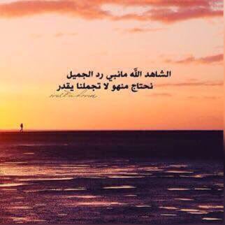 💙 tweet media