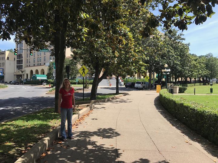 skipwayne's tweet image. Magnolia lined street via Facebook ift.tt/2r67WEB