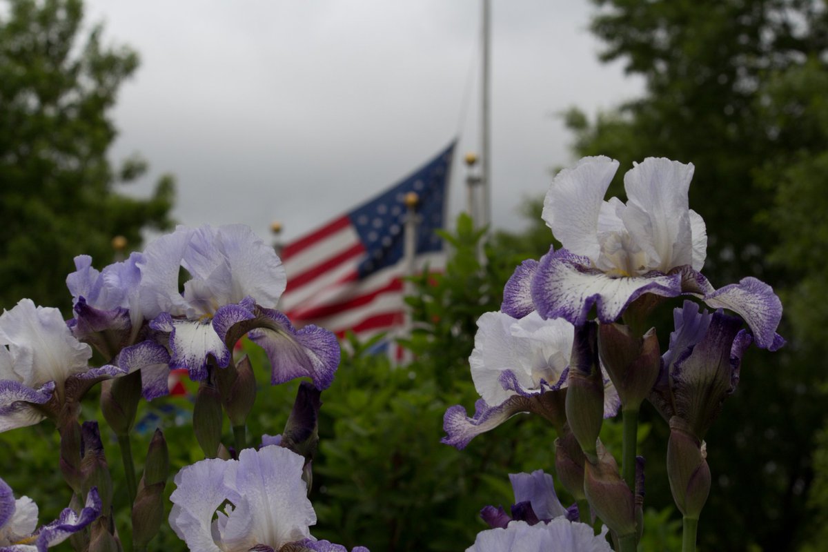 MadyT777's tweet image. @writerm25