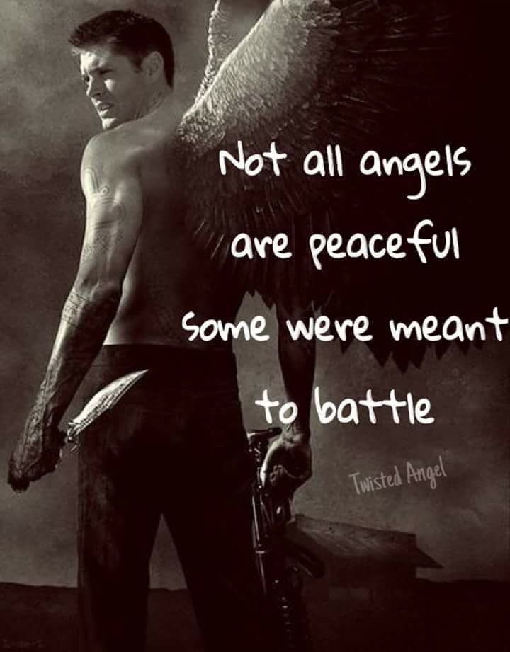 Tarathewise's tweet image. 