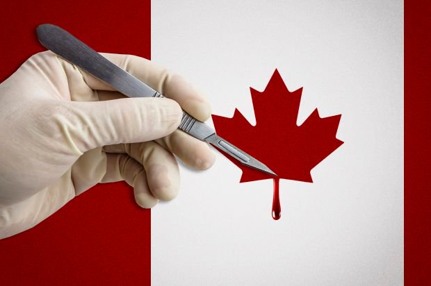 TapoosNetworks's tweet photo. Conservatives love to bash Canadian health care but U.S. corporations love it
#tapoos #giveahoot #news #politics

https://t.co/rrrbwPw204 https://t.co/fF3fcleZc4