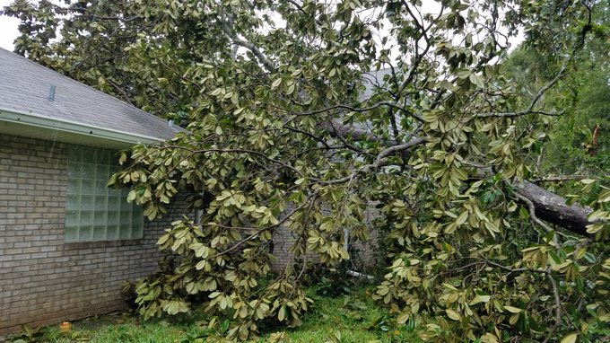 Watch stuffzplace's leaked NSFW photo on TwXstars