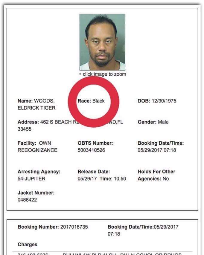 drgravyphd's tweet photo. Well that clears that up lol... just in case #tigerwoods needs a reminder #MakeBlackAmericaGreatAgain #tigerwoodsyall #tigerdui https://t.co/6GbmDjrFWn