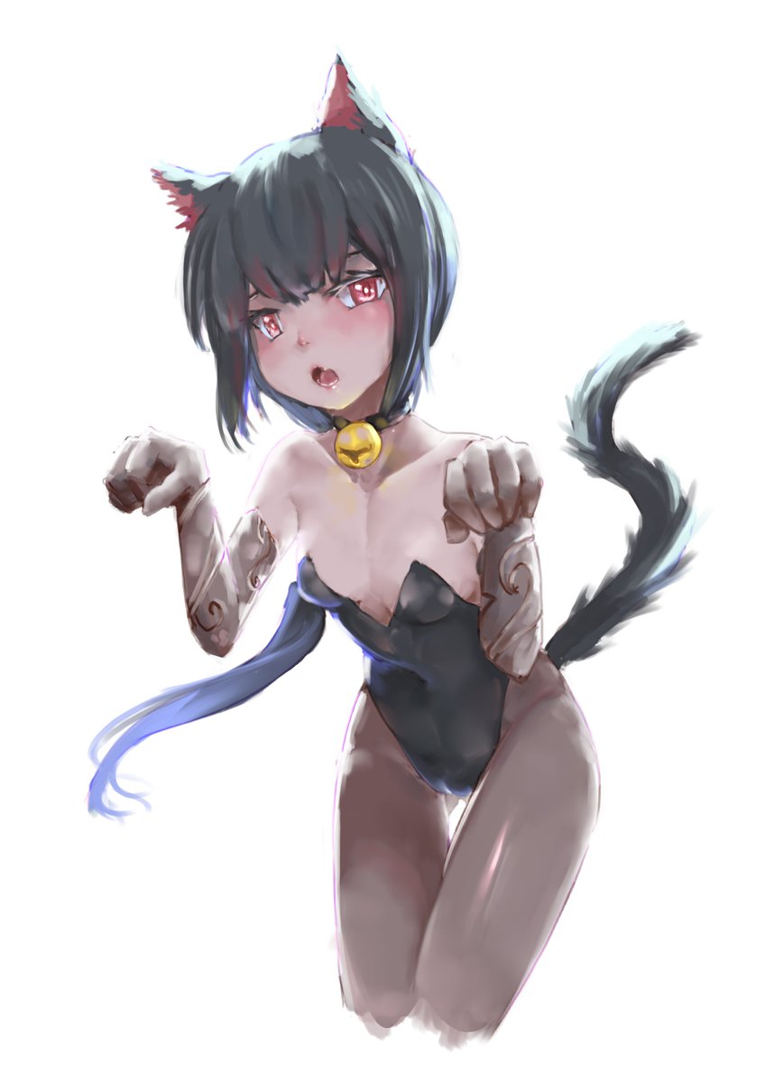 ノワール ヴィノカカオ