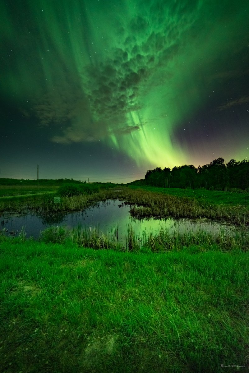 BrentMckean501's tweet photo. Saturday night early part of the Aurora Display... #stormhour #manitoba #Winnipeg #Auroraborealis #mbstorm #northernlights #YourShot https://t.co/Qtt3jMsQHJ