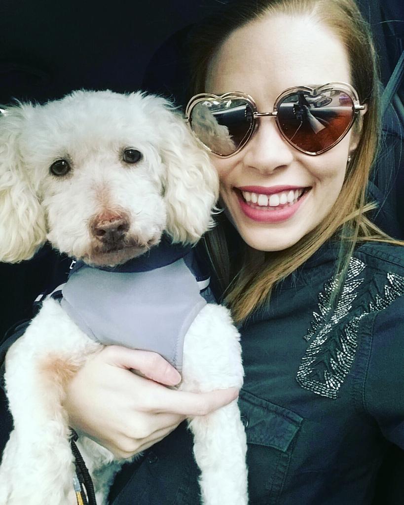 Treychel_A's tweet photo. Loving the sun 🌞 Finnigan always looks so concerned 😂 #adorable #puppy #vancity https://t.co/nO3DOo3ly1