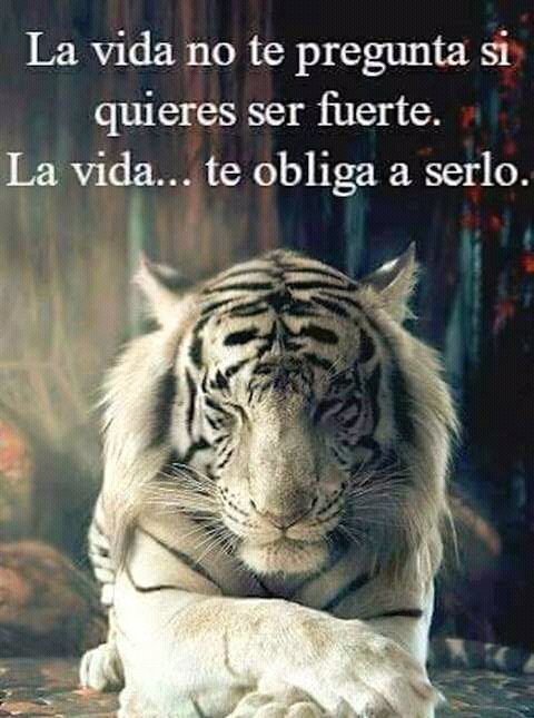 paula casco (@paulacasco7) on Twitter photo 