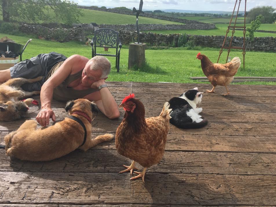 awwwthatscute's tweet photo. Pecking Order https://t.co/9fd3FVDZY3