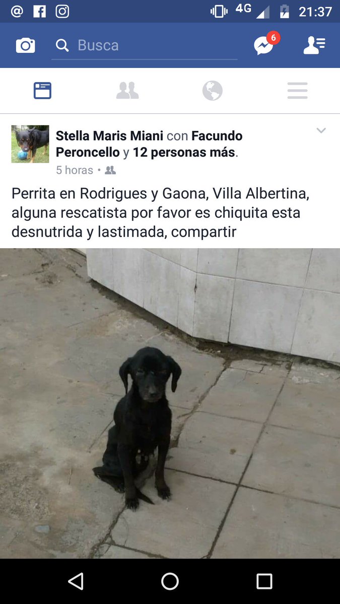 refugioenalerta's tweet photo. Ayuda en #lomasdezamora un corazón solidario que lo cobije https://t.co/NmqSWdClHU