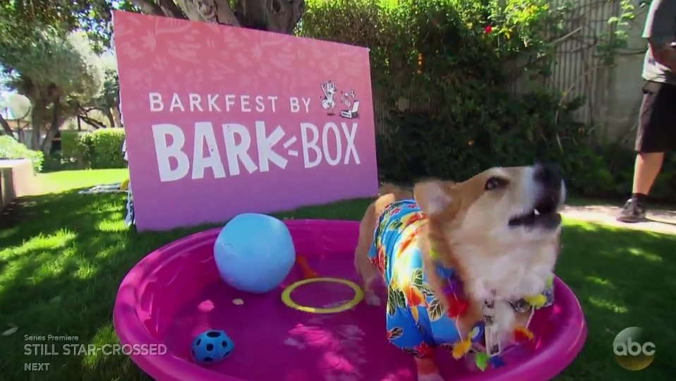EliteDaily's tweet photo. What's your idea of the perfect date? 

Me: 

#TheBachelorette https://t.co/hiWHxRN2MD
