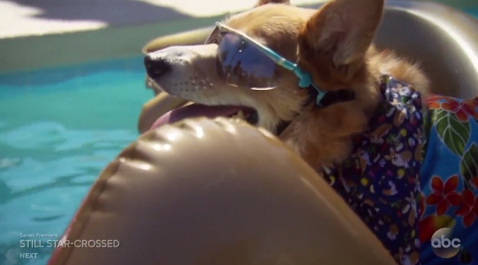 EliteDaily's tweet photo. What's your idea of the perfect date? 

Me: 

#TheBachelorette https://t.co/hiWHxRN2MD