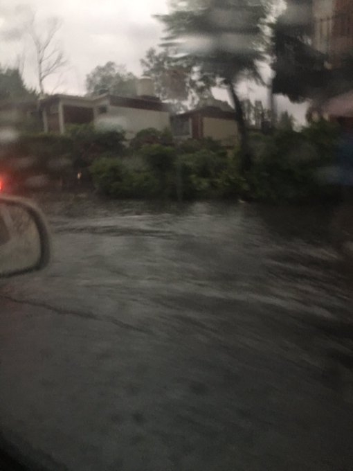 Ver imagen en Twitter