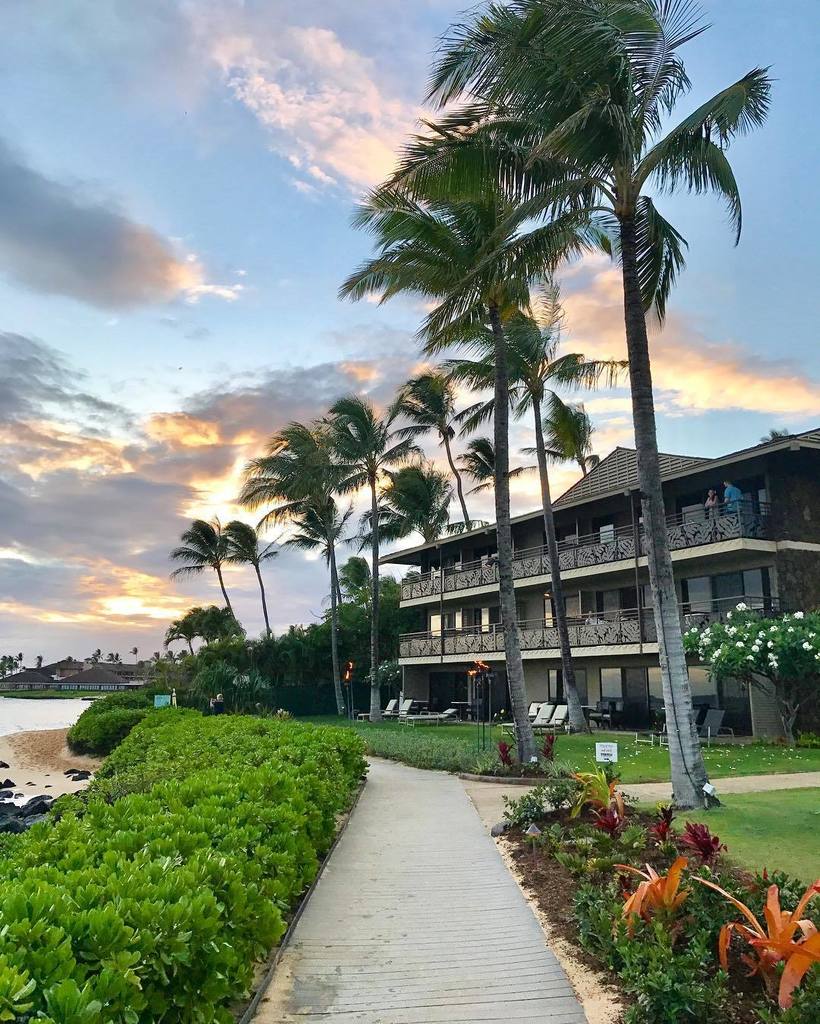 sunset stroll-worthy 🌴 ift.tt/2qw81ih