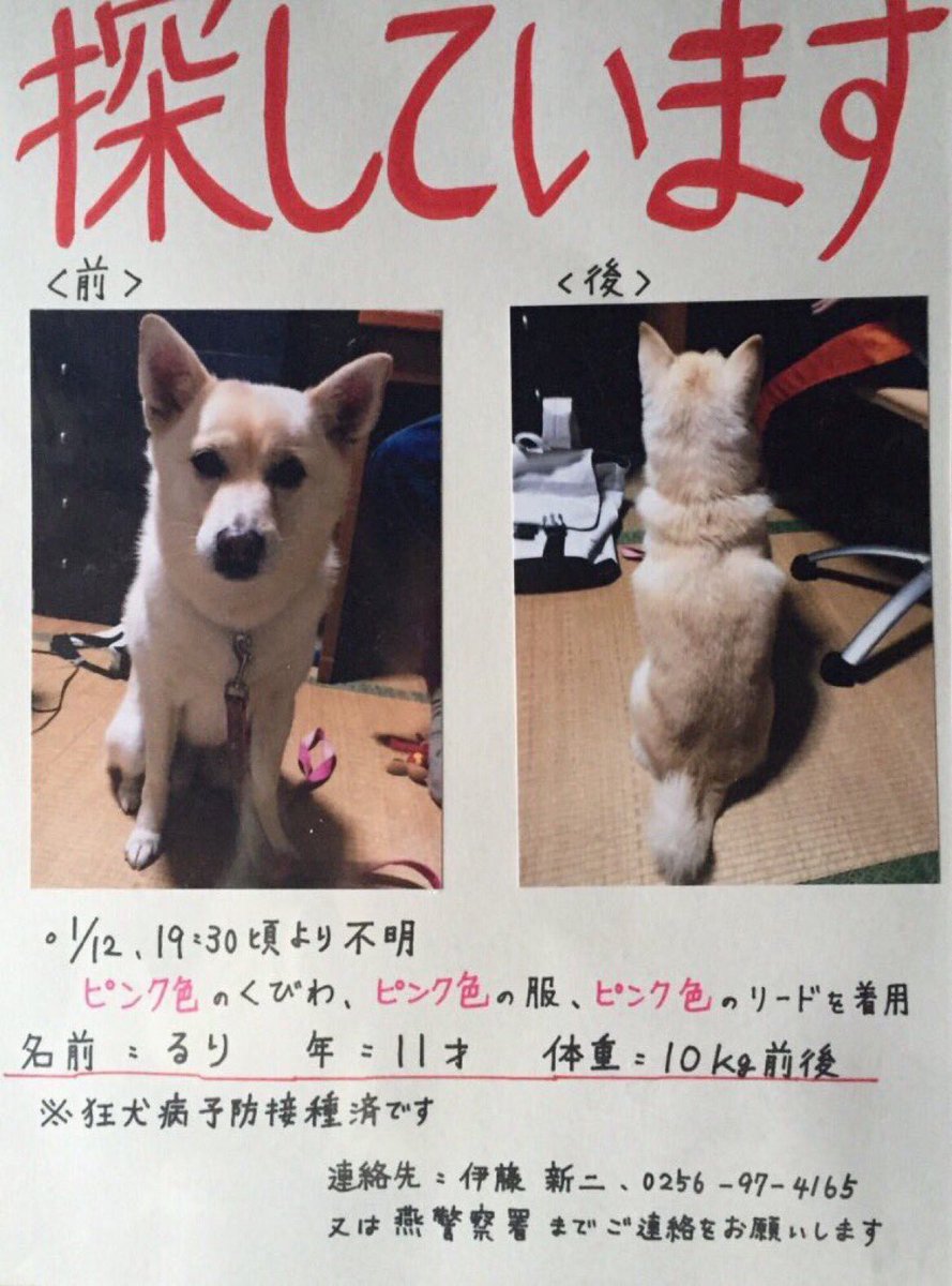 Keiko Ar Twitter 5 28 新潟県動物愛護センターへ 三毛猫ちゃんに会えませんでしたが目ヤニの治療中でした ポスターお願いして来たので情報あったらお願いします 福島県からケータ君のポスターがあり情報を求めてます T Co J1htqzfadj T Co Afcztq10oq