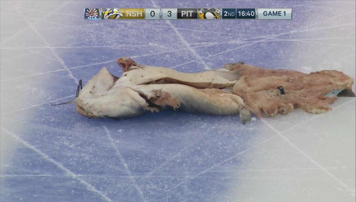 JeffVeillette tweet picture