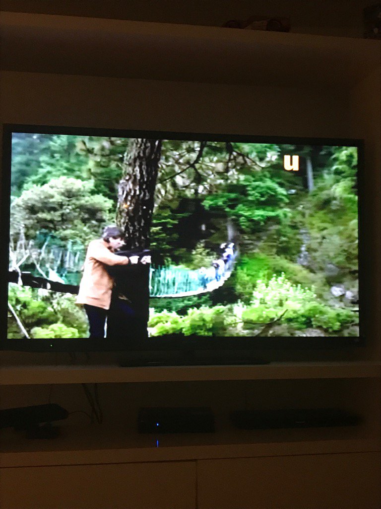 sandraecheverr's tweet photo. YA viendo @laqueridadelCen en @unicable!!!! Qué emoción! https://t.co/MVOdhx8g4c