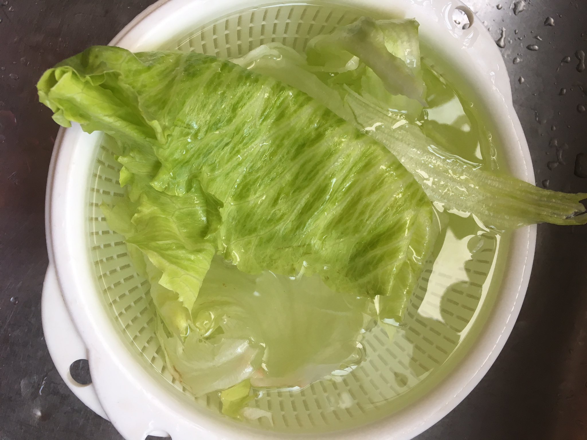 野菜を洗剤で洗う Twitter Search Twitter