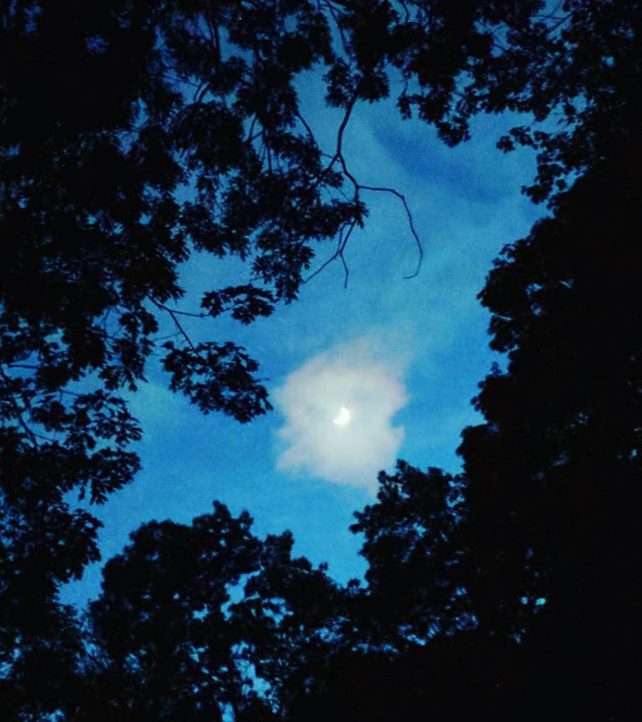FAroundxFindOut's tweet photo. thinking of you, @moonripper_band #moonripper #moon #doommetal #heavymetal #metalmusic #metal #crescentmoon #bands… https://t.co/AA91PcJdqs https://t.co/6WsflYxuxL