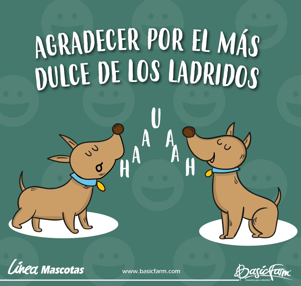 BasicFarm's tweet photo. “Agradecer por el más dulce de los ladridos"
#BasicFrases #Agradecimiento #Felicidad #familia #Mascotas #Perros #Perro #Reflexión #Diversión https://t.co/LIGPJ4BGNW