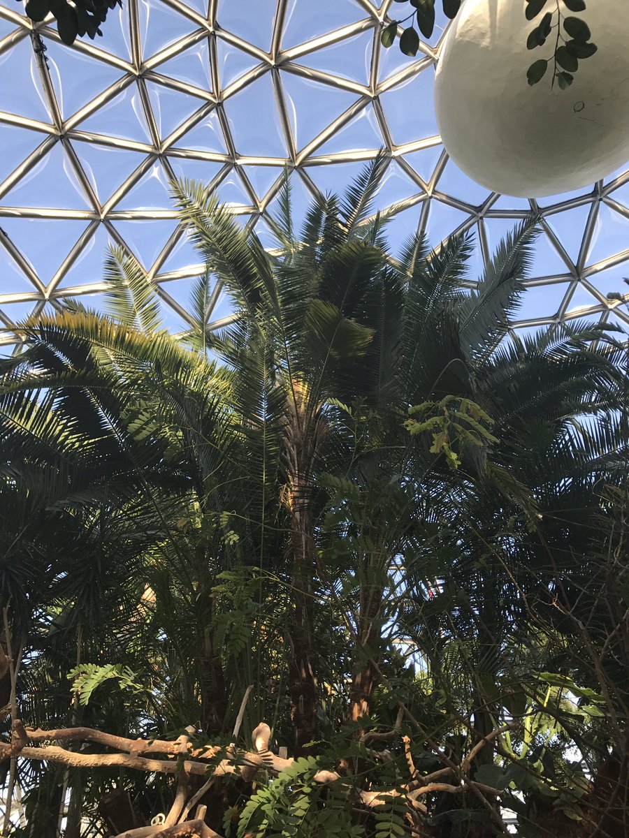 Home inspiration at #bloedelconservatory