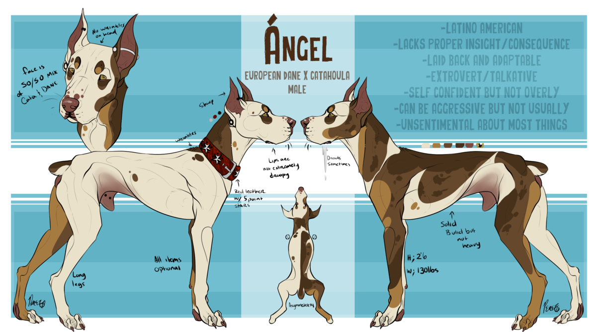 lex1us's tweet photo. anime animal🤓🐶 https://t.co/odAdPjyQba