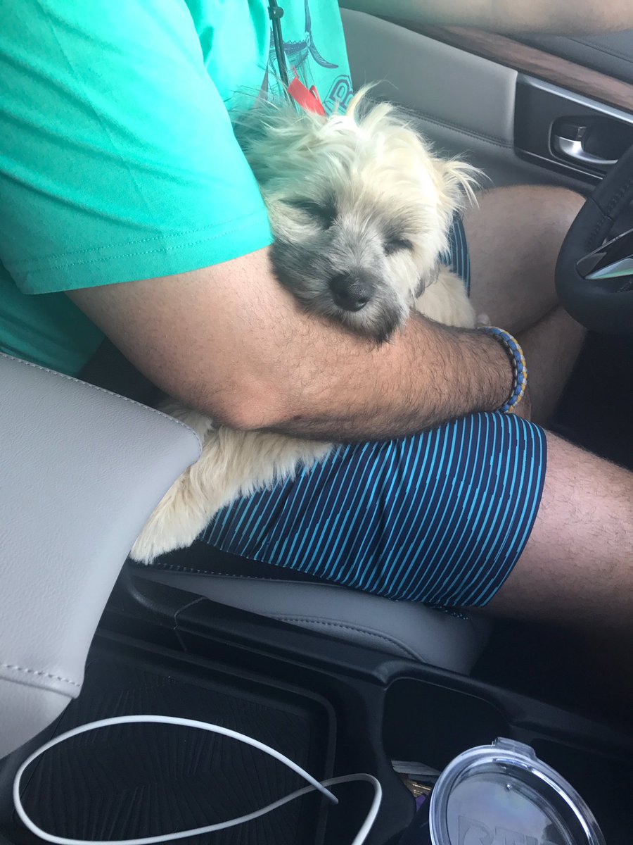 How I feel after a long Memorial Day weekend. Had so much fun with my peeps. #summerfun