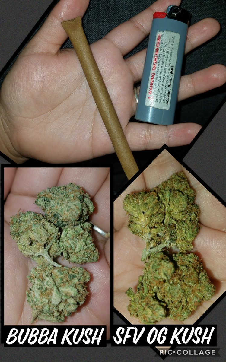 LeanetteLife's tweet photo. Late Night Pick Up!!!
#SFVOGKush #BubbaKush #BluntSesh #CannabisEnthusiast
#StonerChef 🔥& #BellaBeauty 💋 https://t.co/8VpE0KX13L