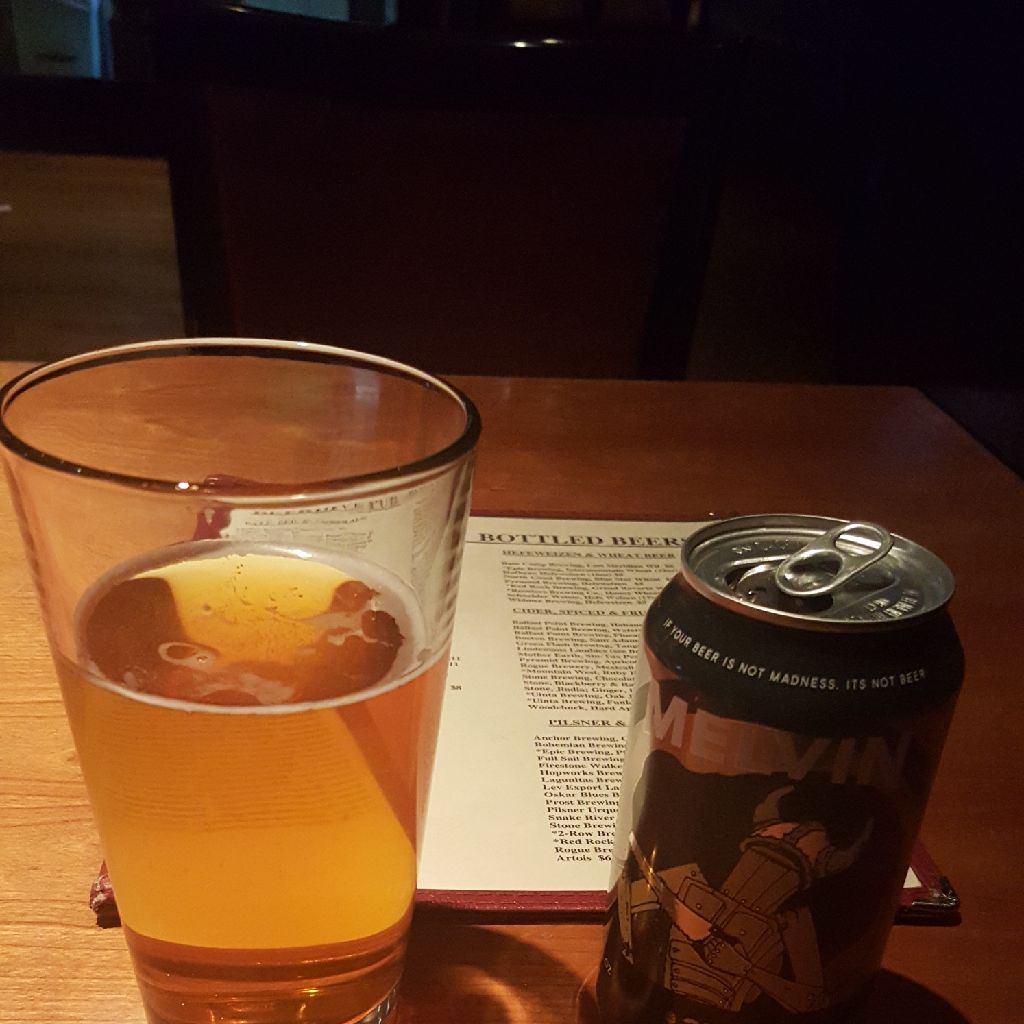 vdoloughlin's tweet photo. #HAPS2017 may be over but celebrating continues w t. Lehman & k. Burleson at #beehivepub in #SLC. Love #MelvinBrewing 2x4 #DIPA https://t.co/4Q3dCKDpMP