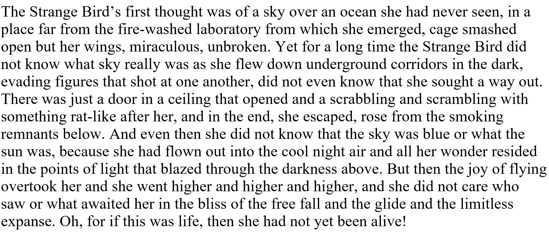 Jeff VanderMeer on Twitter: "Spent the evening copy 