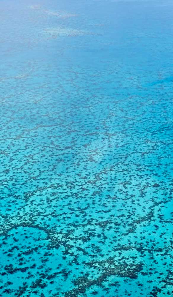 IntTravellerMag's tweet photo. 5 adventurous experiences for trail blazers in @NewCaledonia #NewCaledonia https://t.co/F4OH0mk8hz https://t.co/bxx6Vcwt6y