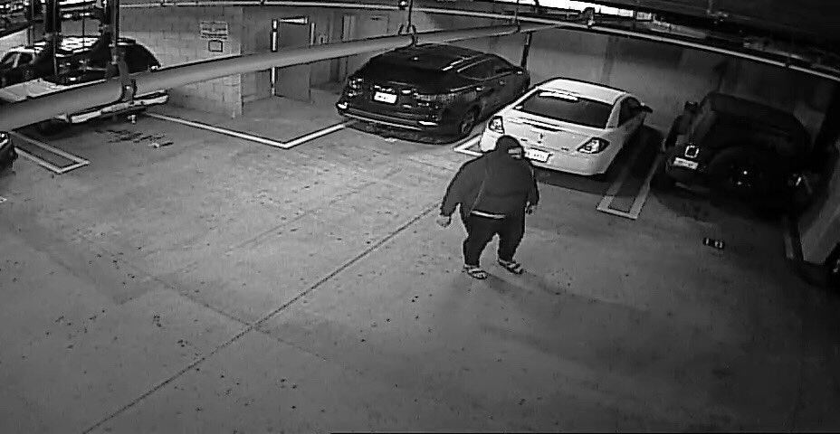 MattrKing's tweet photo. suspect #1 who stole zane's jeep
- questionable gender
- wears sandles 
- can fit in a cardboard box
- can open gates with their mind https://t.co/esf2eDPjGB